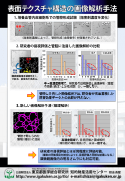 表面テクスチャ構造の画像解析手法