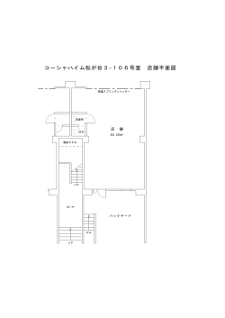 コーシャハイム松が谷3-106号室 店舗平面図