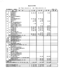 財務諸表（PDF：228.5KB）