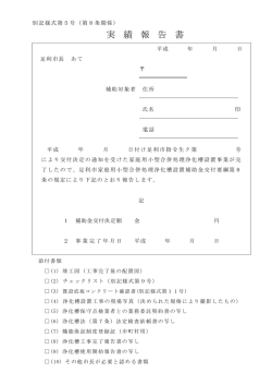 実績報告書 [PDFファイル／86KB]