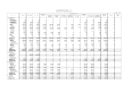 収支予算書内訳表（資金ベース）