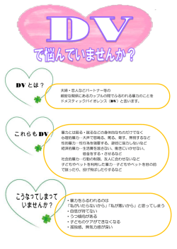 DV とは？ これらもDV