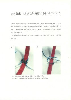 犬の鑑札および注射済票の取付けについて