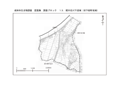 成田市生き物調査 図面集 調査ブロック 13．根木名川下流域（旧下総町
