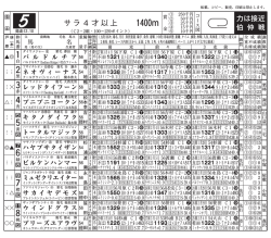 サラ4才以上
