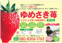 みずみずしい完熟いちご