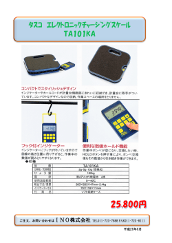 ﾀｽｺ ｴﾚｸﾄﾛﾆｯｸﾁｬｰｼﾞﾝｸﾞｽｹｰﾙ TA101KA