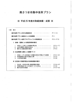 取組実績 （H25