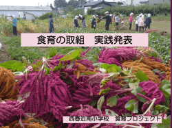 西春近南小学校の取り組み（PDF：19134KB）