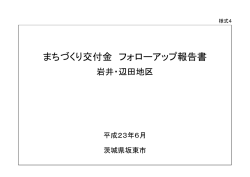 フォローアップ報告書 岩井・辺田地区（PDF）