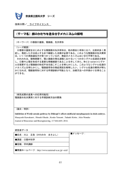 （テーマ名）顔のかたちを造る分子メカニズムの解明