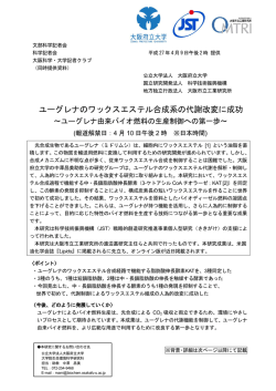 ユーグレナのワックスエステル合成系の代謝改変に成功