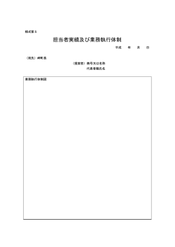 担当者実績及び業務執行体制