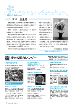 花のカルチャー（PDF形式 735キロバイト）