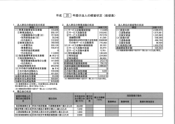 平成26年度現況報告書