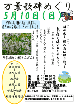 妹い が 見 し 楝 の 花 は 散 り ぬ べ し わ が 泣 く 涙 い ま だ 干ひ な く に
