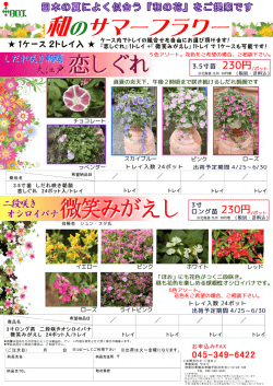 お早目のご予約、お待ちしております！