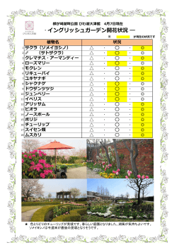 イングリッシュガーデン開花状況（2015.04.07現在）