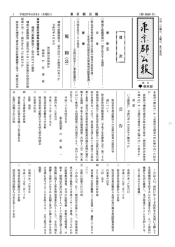 本文（253KB）