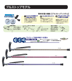 プルストップモデル