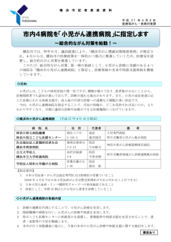 記者発表資料（PDF形式 206KB）