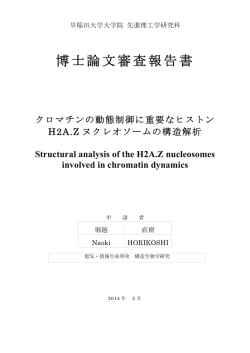 博士論文審査報告書