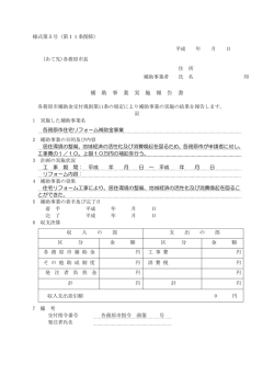 補 助 事 業 実 施 報 告 書