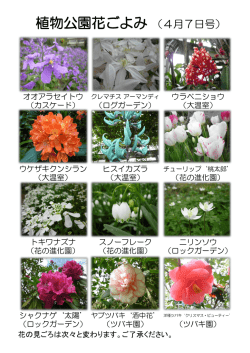 植物公園花ごよみ （4月7日号）