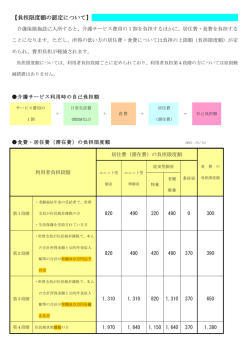 負担限度額の認定について [136KB pdfファイル]