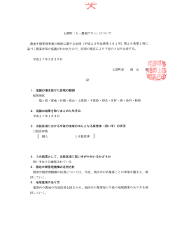 その他の形式
