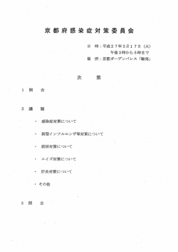 （その1）（PDF：163KB）