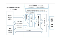 Microsoft Word