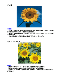 詳しくはこちらをご覧ください