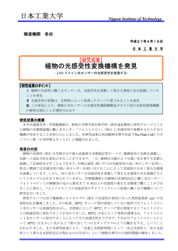 芳賀健講師（共通教育系）が植物の光感受性変換機構を