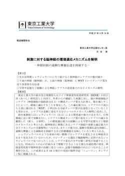 刺激に対する脳神経の環境適応メカニズムを解明