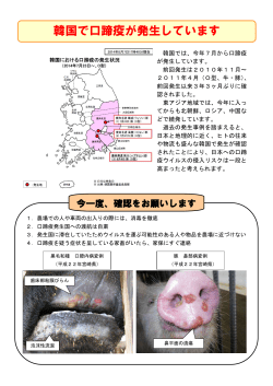 韓国で口蹄疫が発生しています（pdfファイル：358KB）