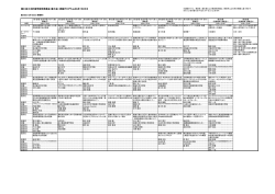 詳細版：2日目