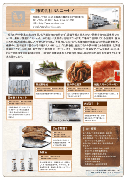 株式会社NS ニッセイ(PDF 783KB)