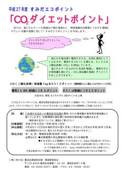 CO2ダイエットチラシ（PDF：151KB）