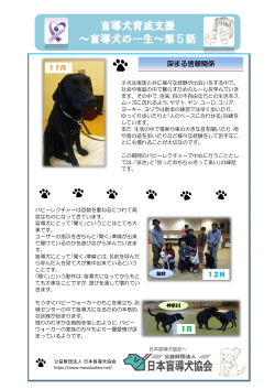 盲導犬育成支援 ～盲導犬の一生～第5話