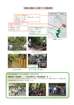 参画と協働による森づくり 活動事例（PDF：740KB）