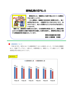 薬物乱用の恐ろしさ（ 351KB）