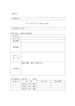 （様式6） 事業者名 担 当 責 任 者 の 業 務 実 績 担当責任者 氏名： 過去