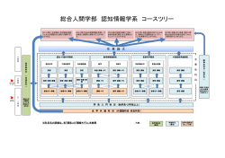 認知情報学系コースツリー - 京都大学総合人間学部 京都大学大学院