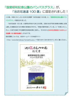 「国営昭和記念公園のパンパスグラス」が、 に認定されました！ 「池坊花