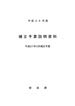 3月補正予算説明資料