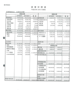 貸借対照表(PDF形式, 337.45KB)