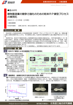 鋳物製造業の競争力強化のための粉末RP鋳型プロセスの実用化