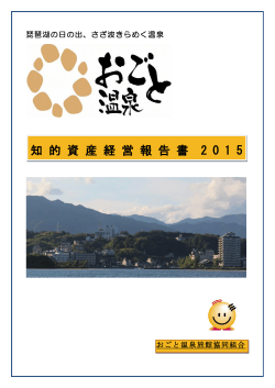 2015年(PDF形式：3.7MB) - 近畿経済産業局