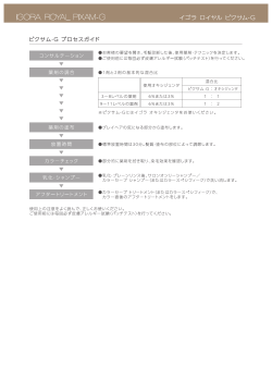 ピクサム-G プロセスガイド